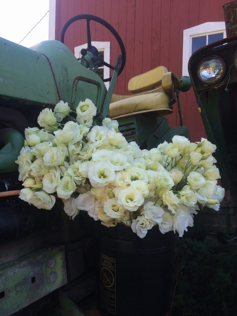 farmer florist Zingerman's Cornman Farms Event Venue in Dexter