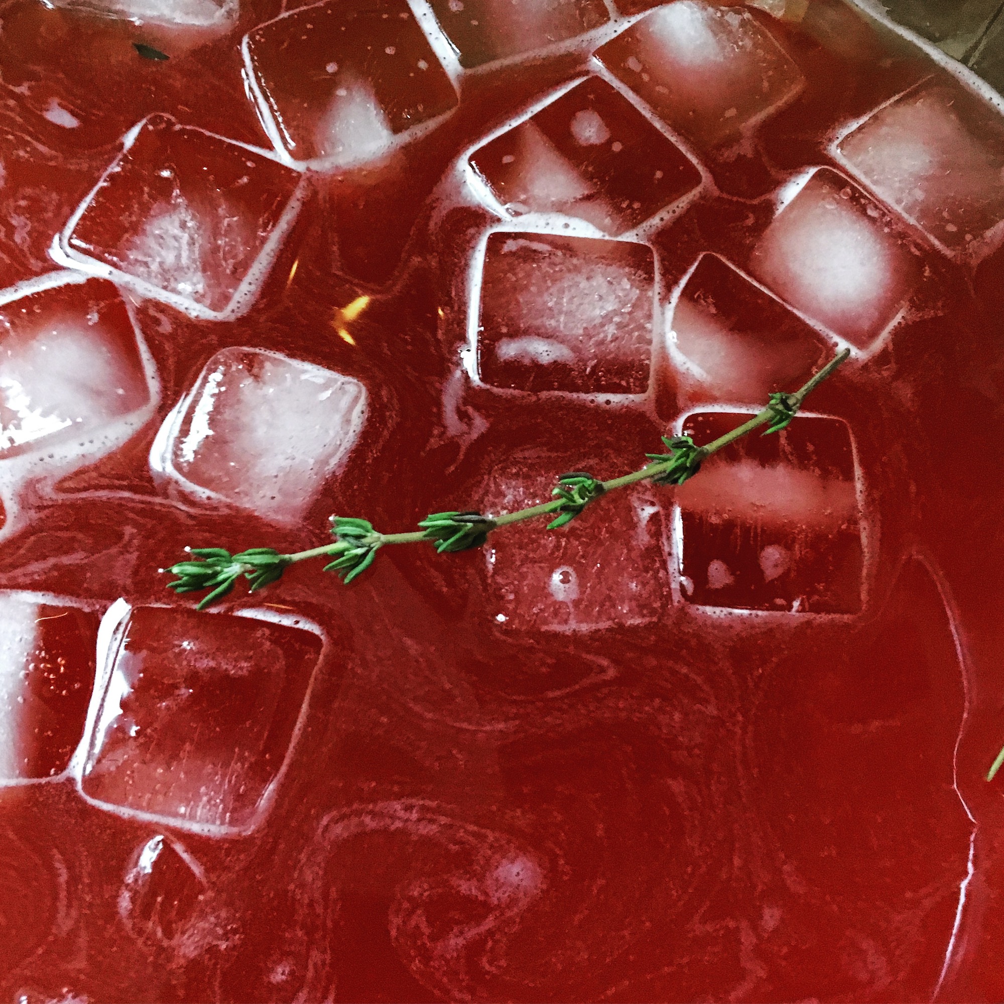 Herb Infused Aperol Sparkling Punch Zingerman's Cornman